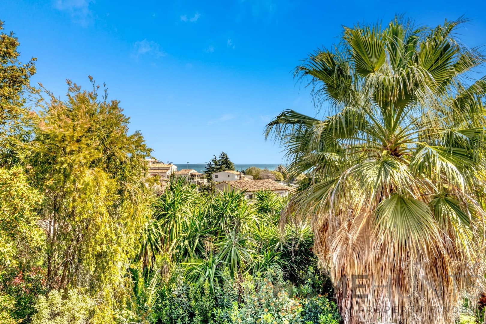 property_HH-15656068-22