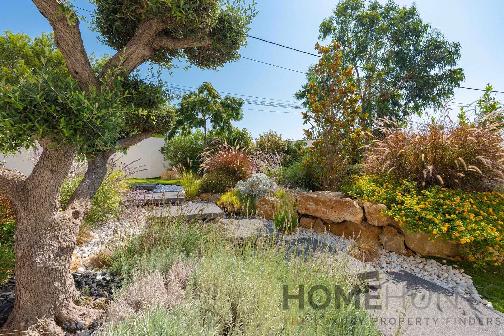 property_HH-15906836-6