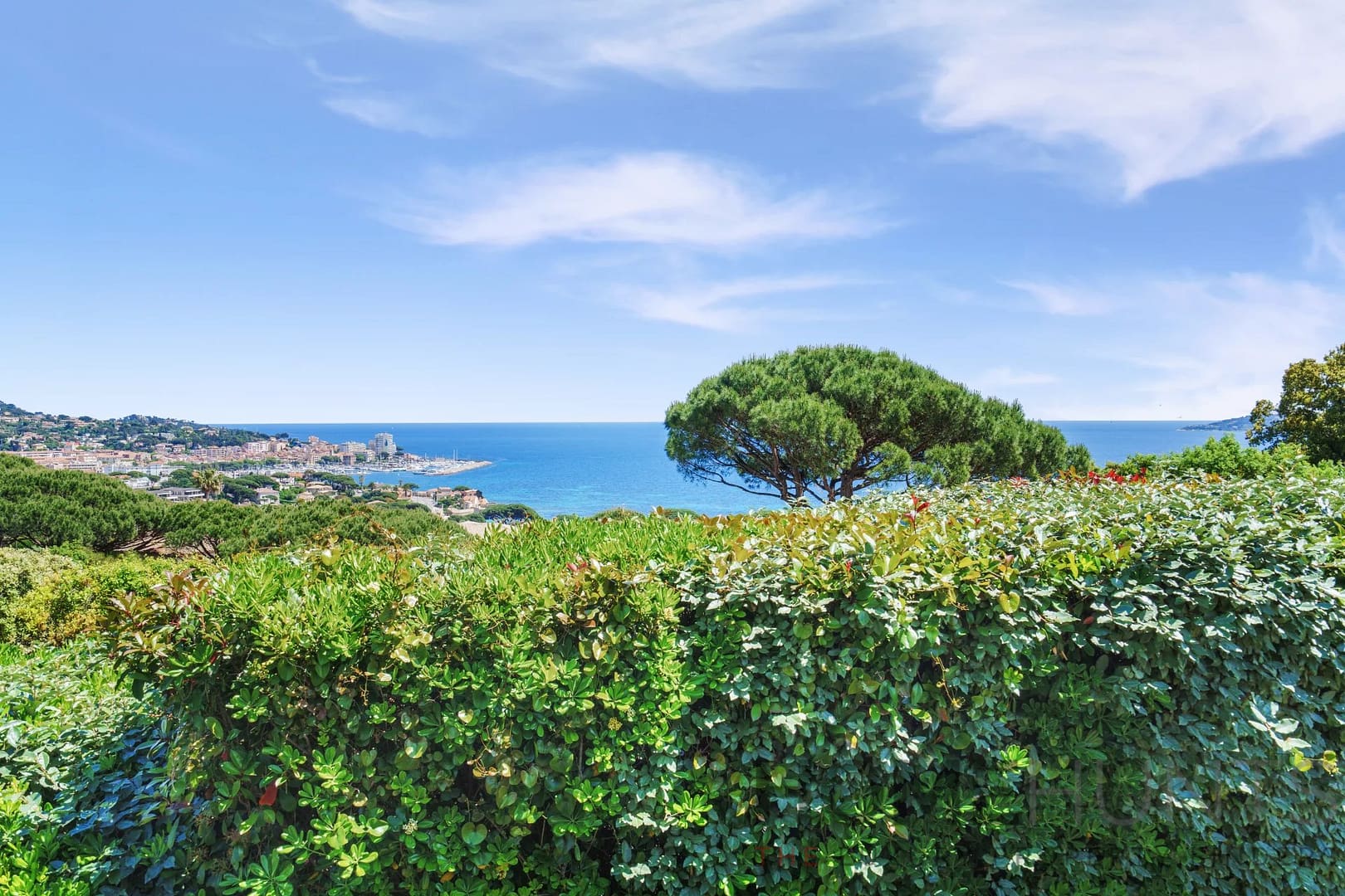 property_HH-16068986