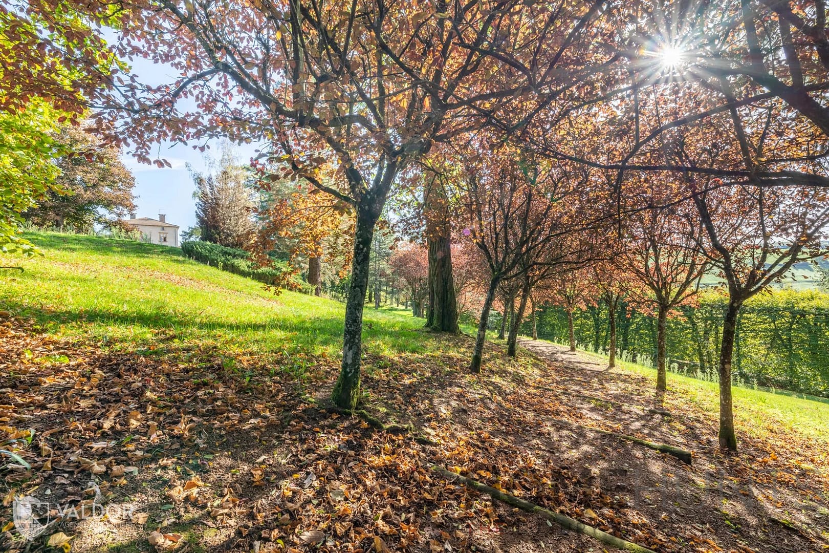 property_HH-14727946-6