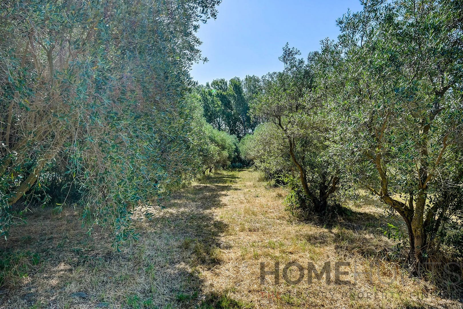 property_HH-15863919-4