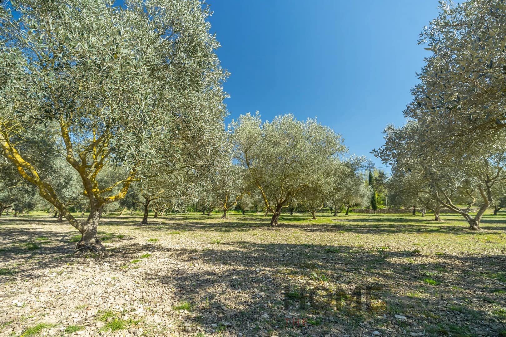 property_HH-15966806-23