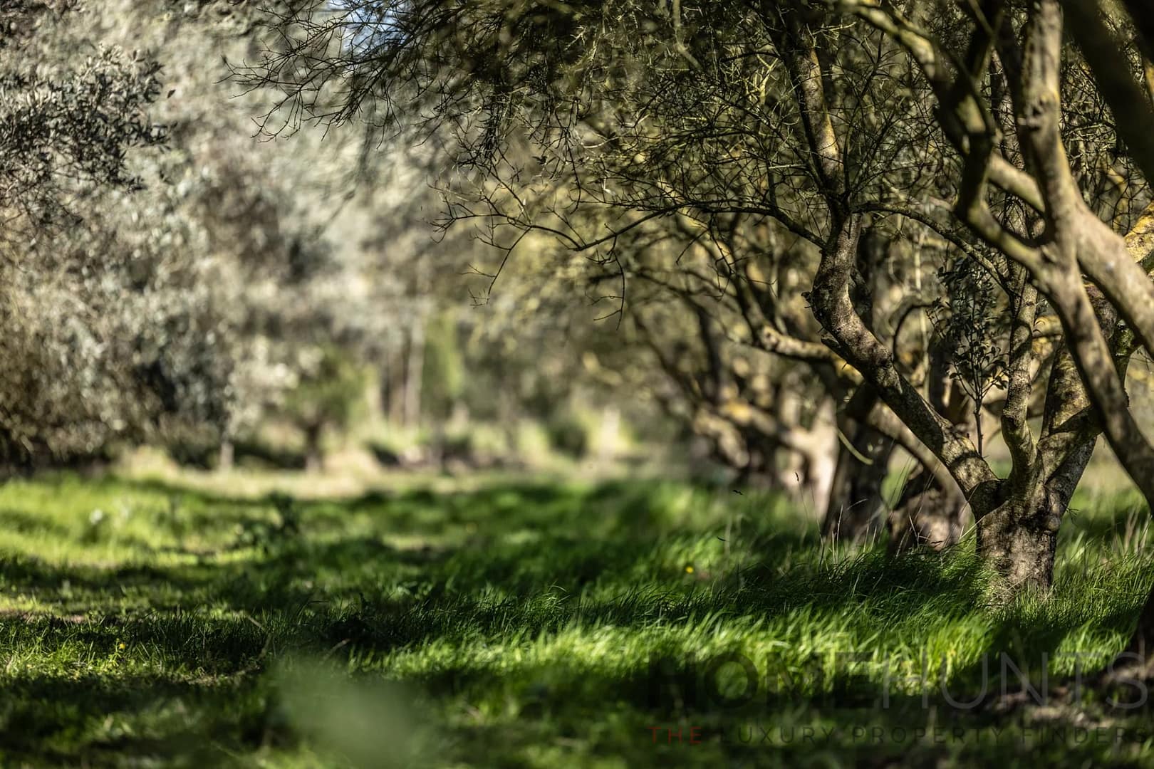 property_HH-15966806-24