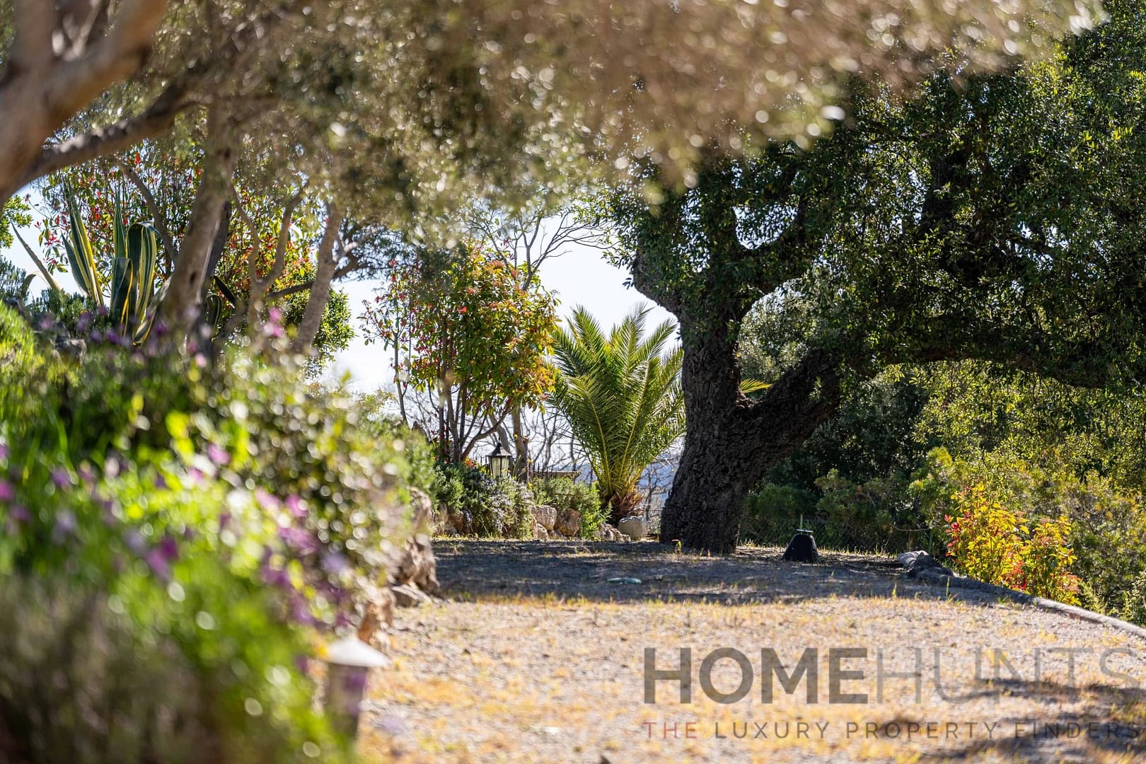 property_HH-16135752-15