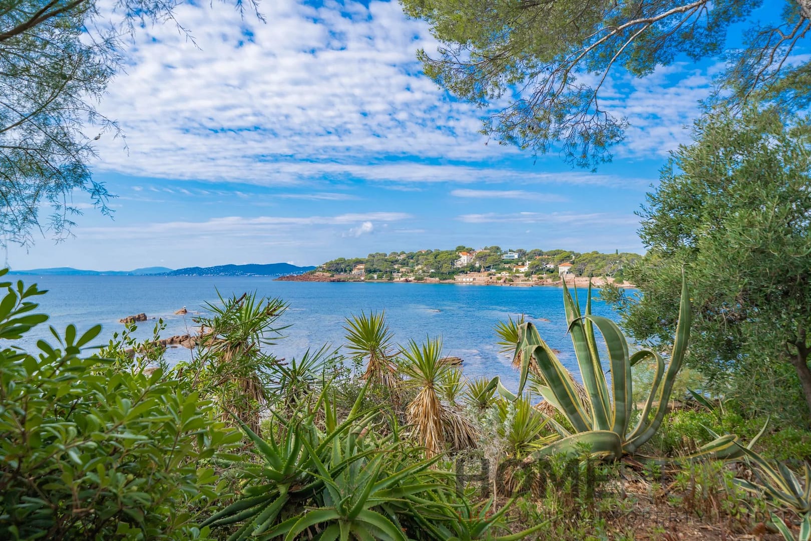 property_HH-16141149-9