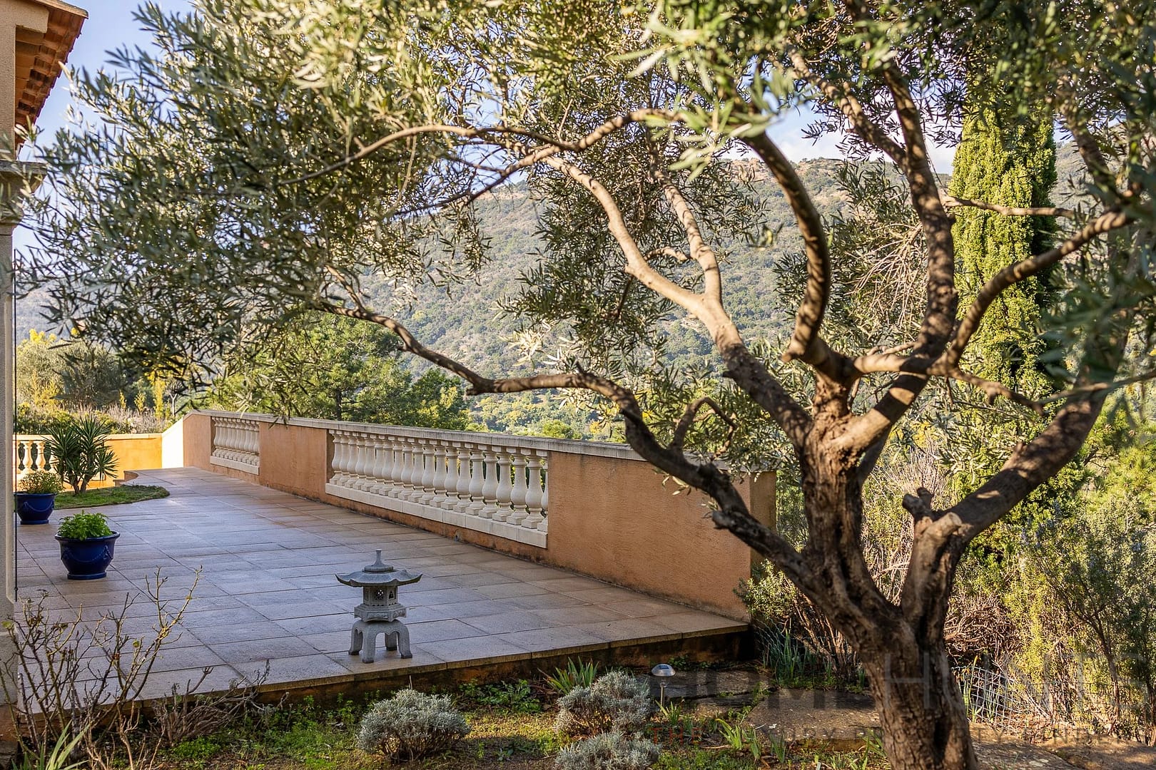 property_HH-16148926-8