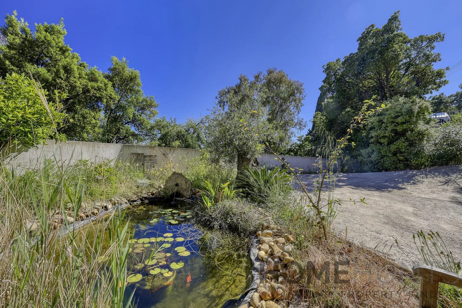 property_HH-16172857-24
