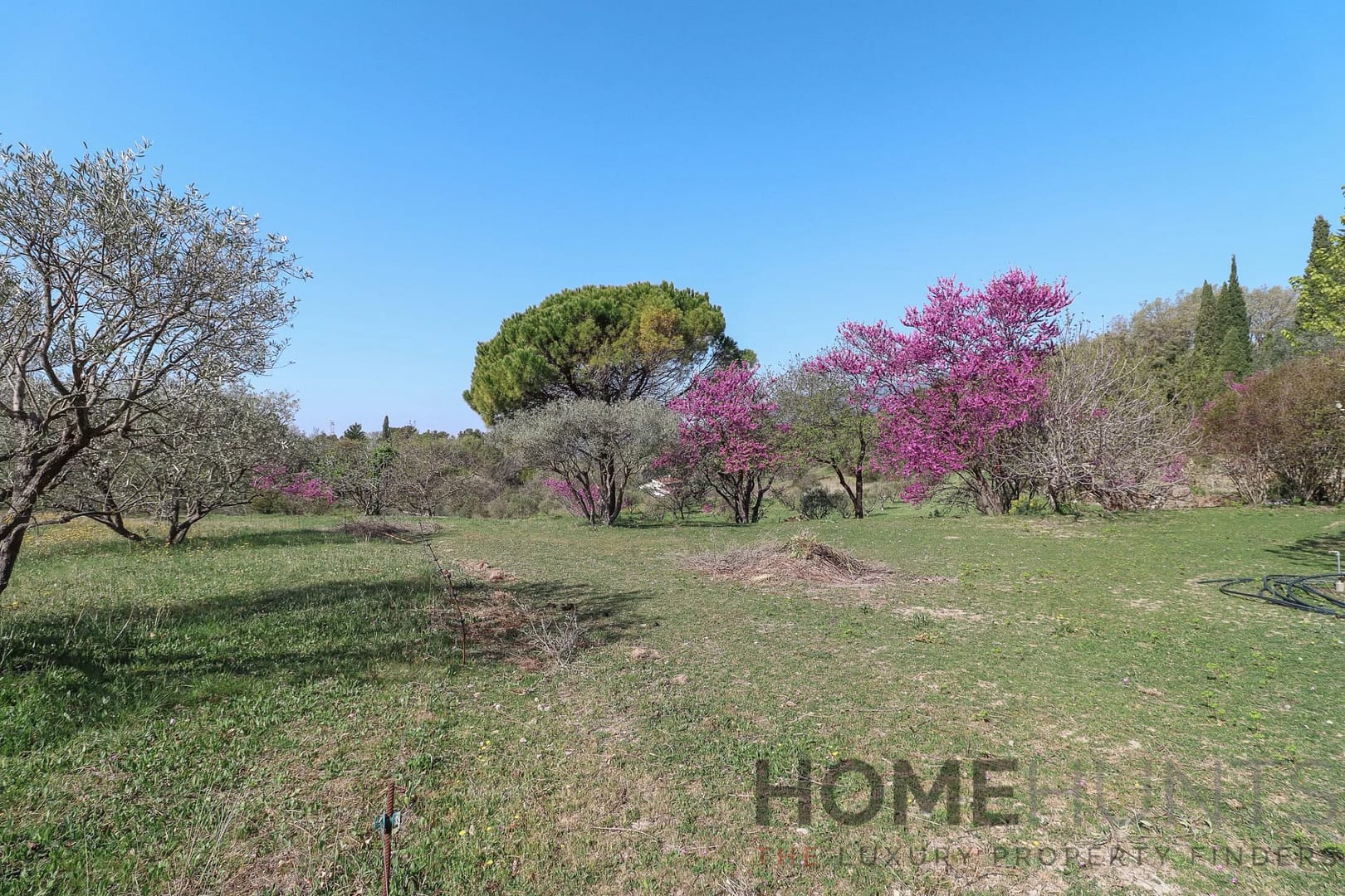 property_HH-16172860-7