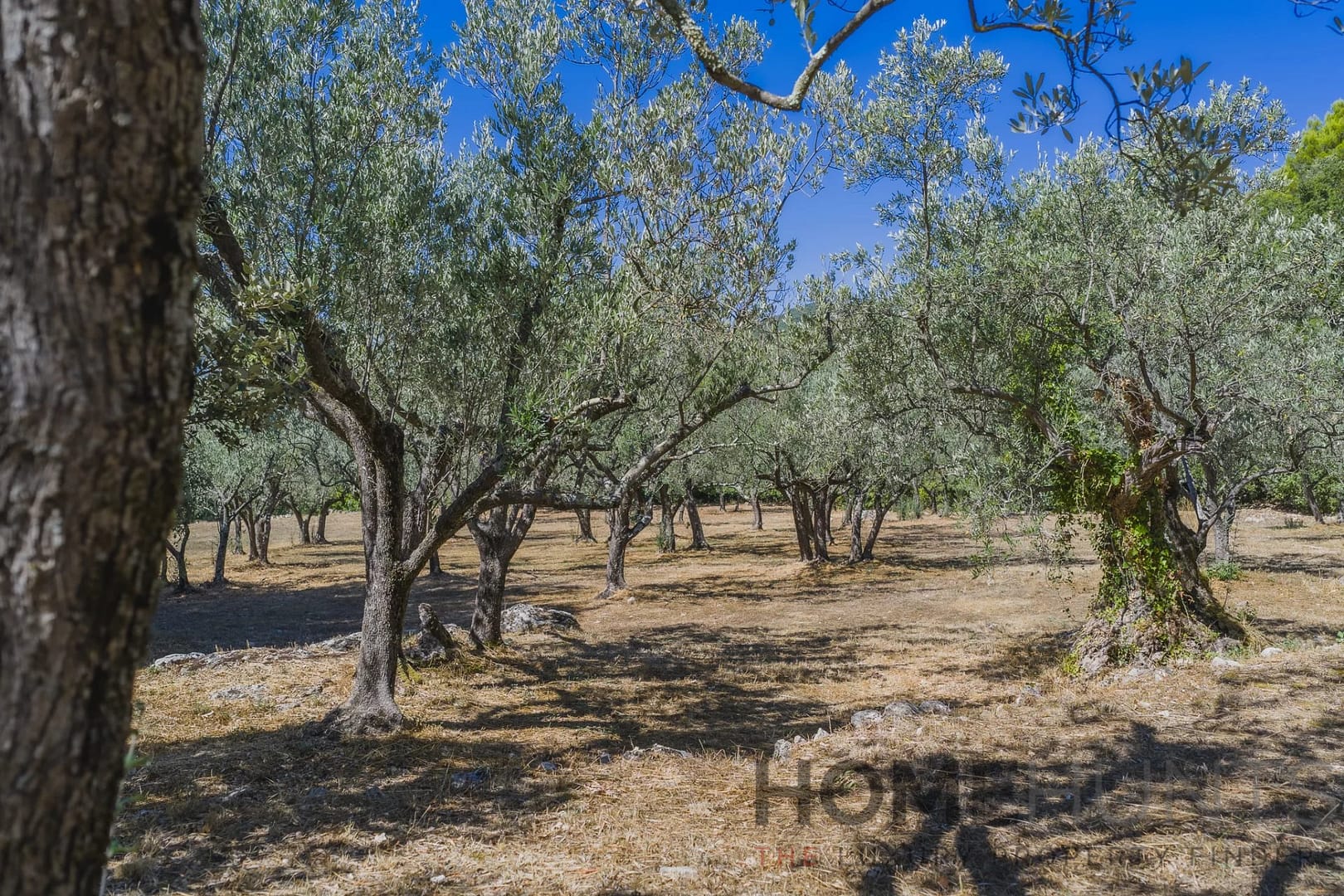 property_HH-16177632-11