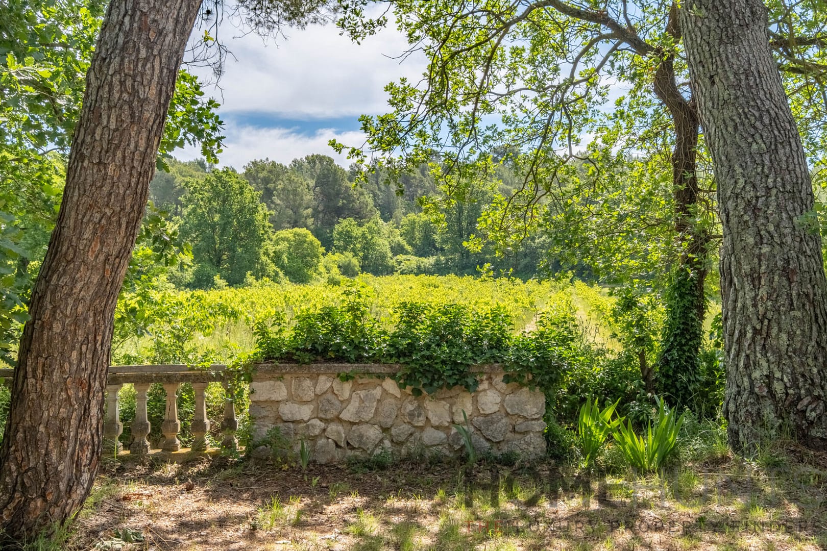 property_HH-16178556-4