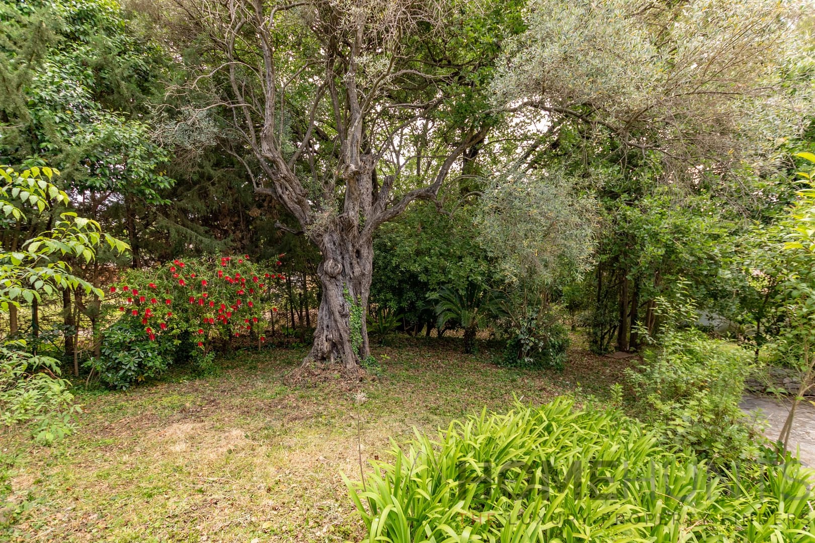 property_HH-16181480-11