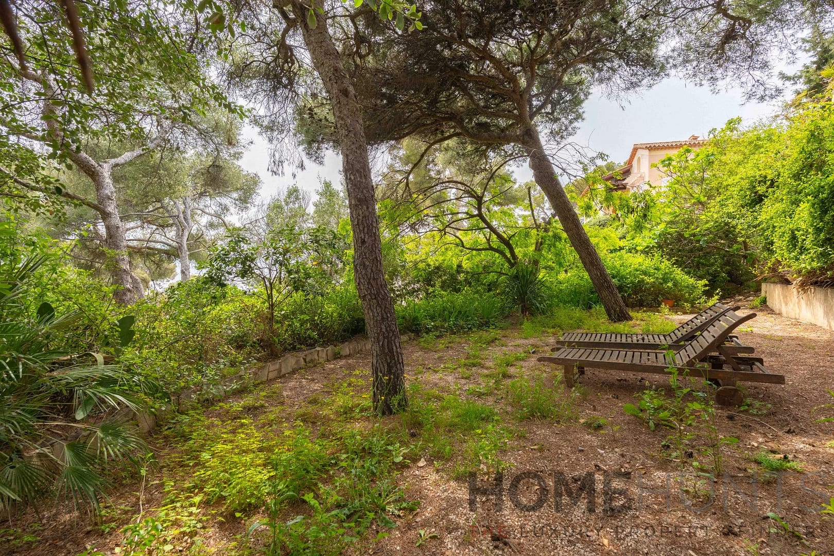 property_HH-15771186-6