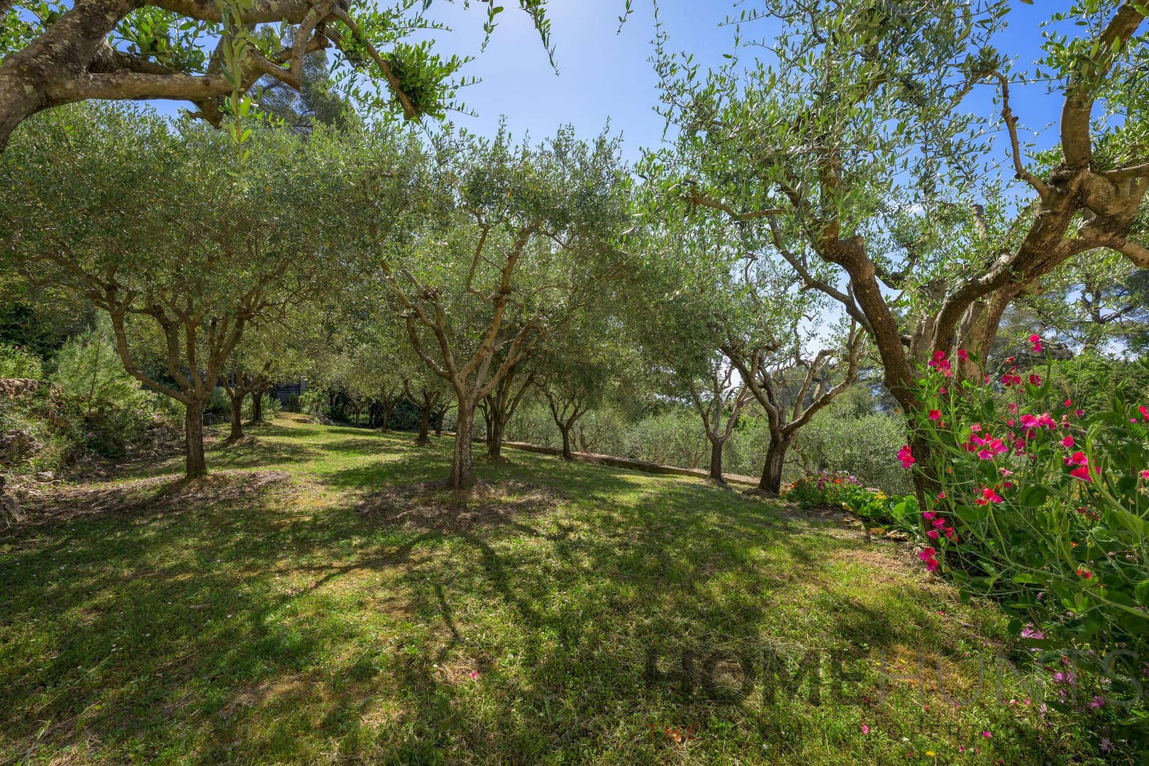 property_HH-16176987-13
