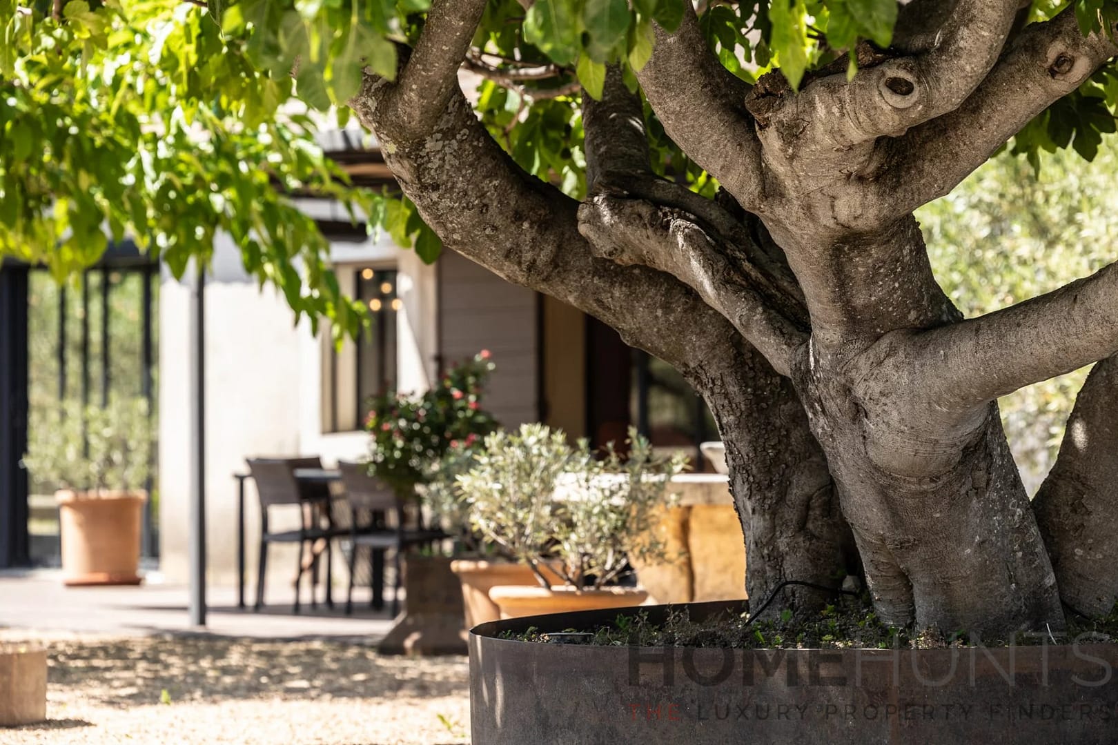 property_HH-16200074-2