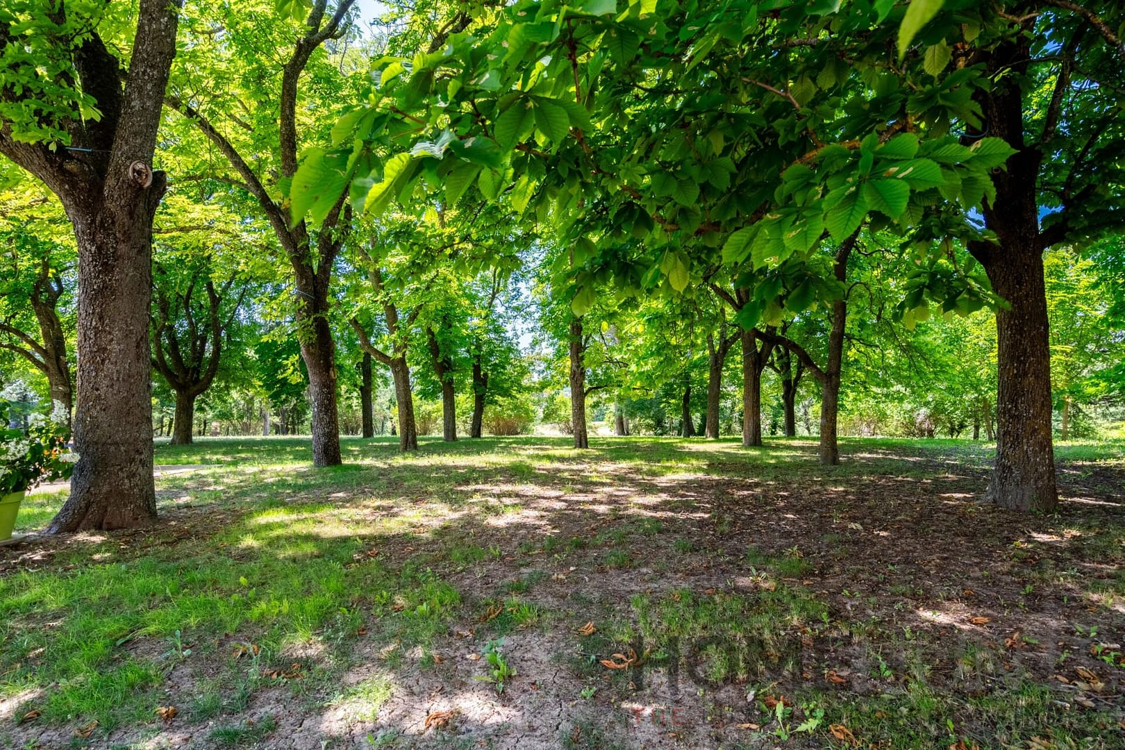 property_HH-16204405-14