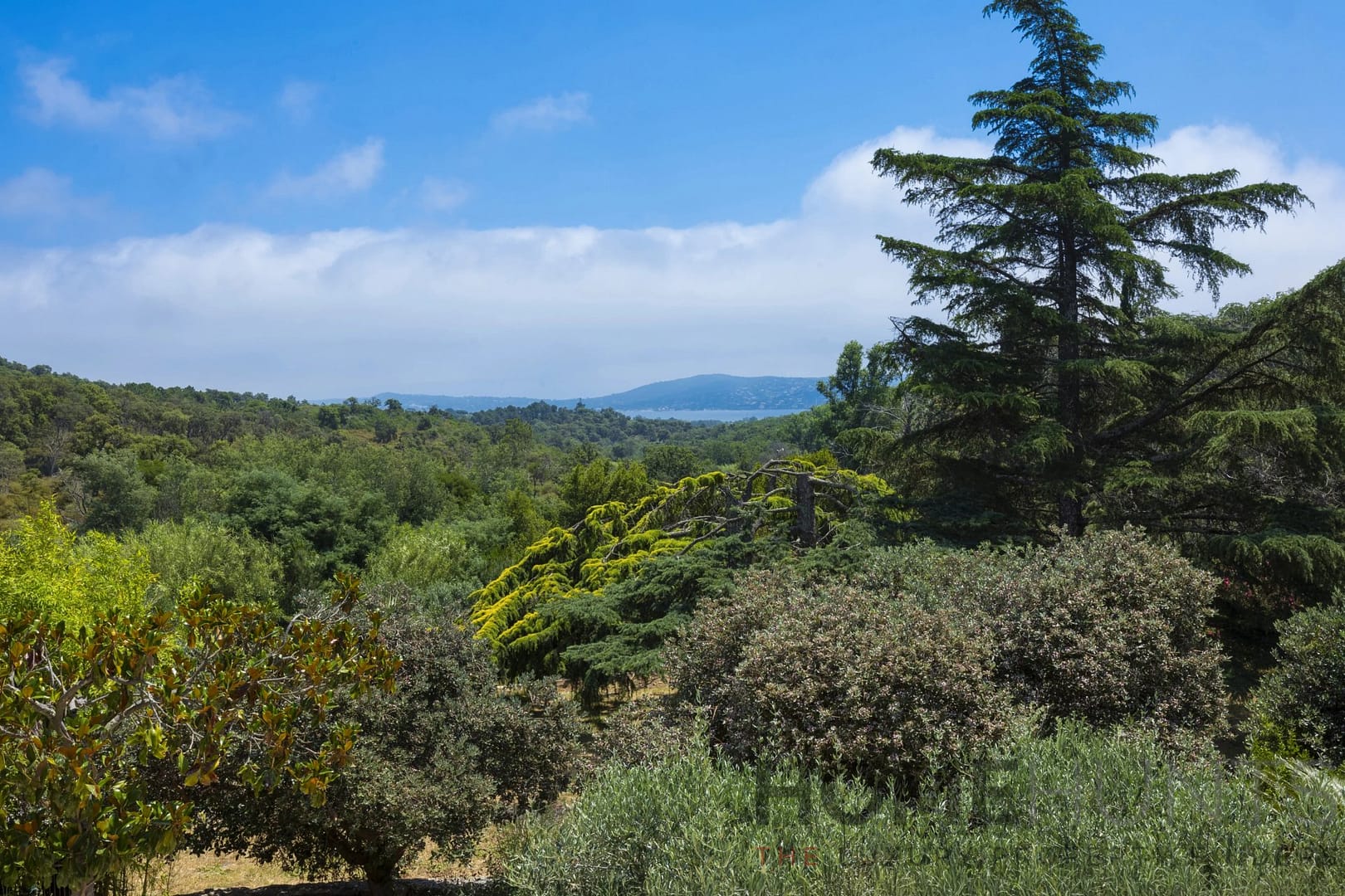 property_HH-16213717-2