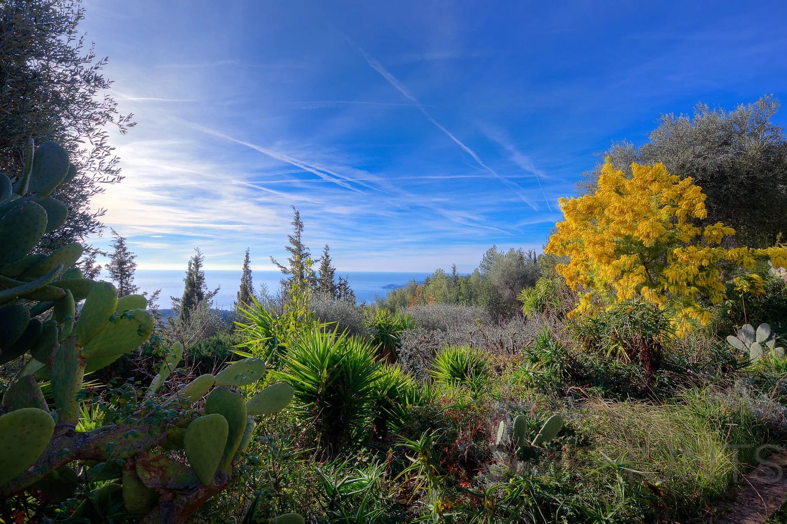 property_HH-16138936-27