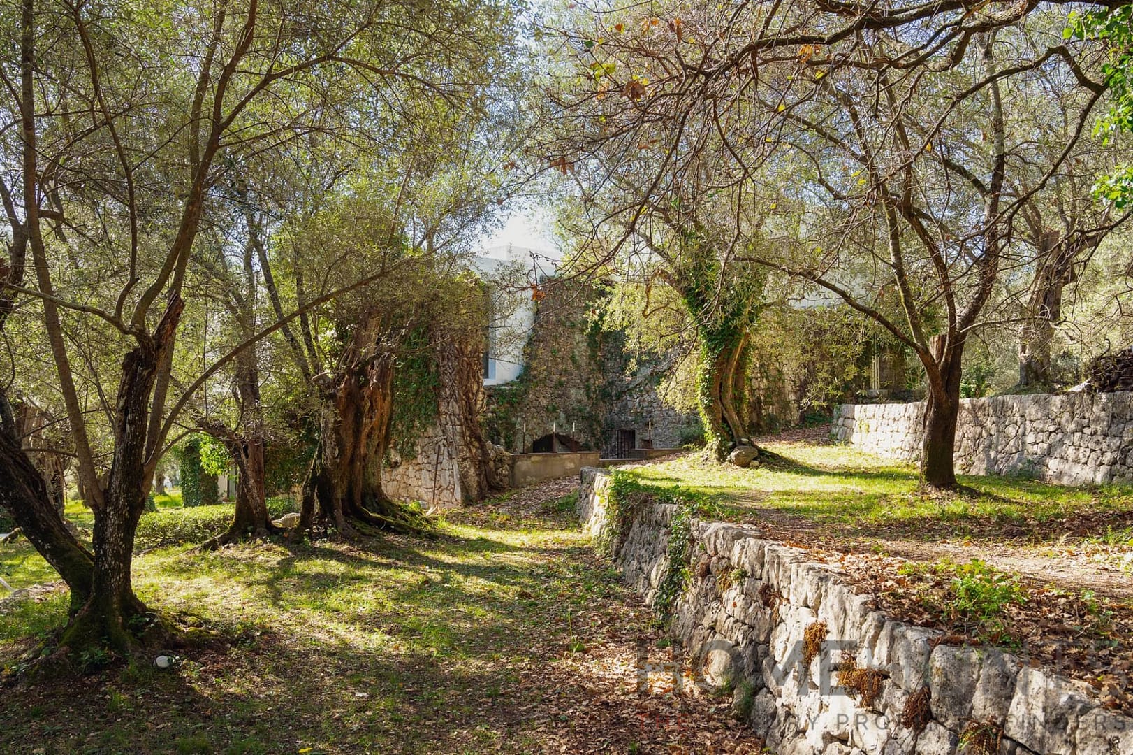 property_HH-16172300-5
