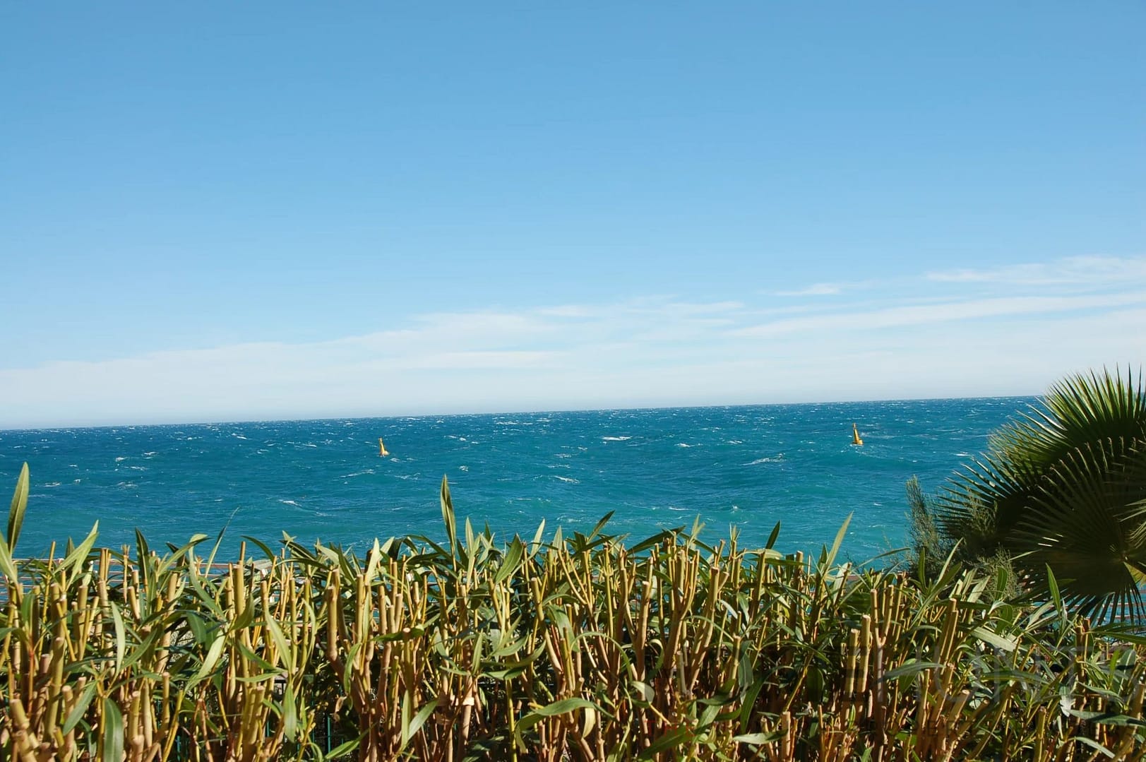 property_HH-15277204-4