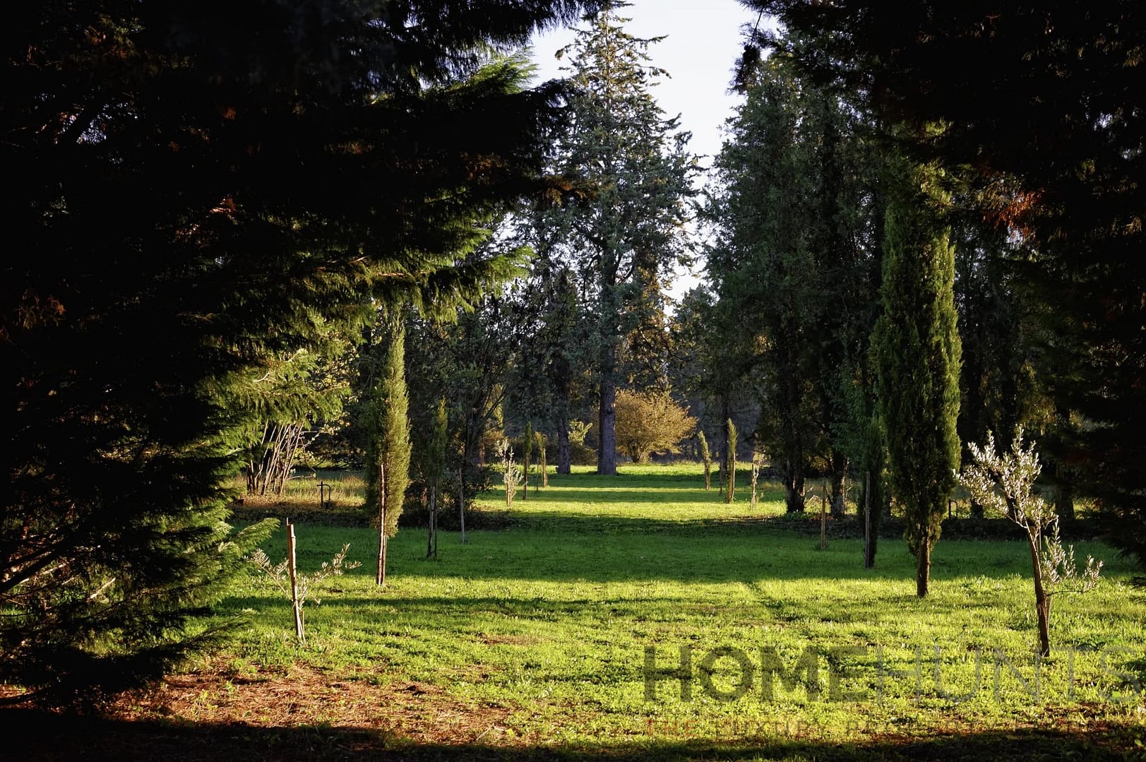 property_HH-15815313-9