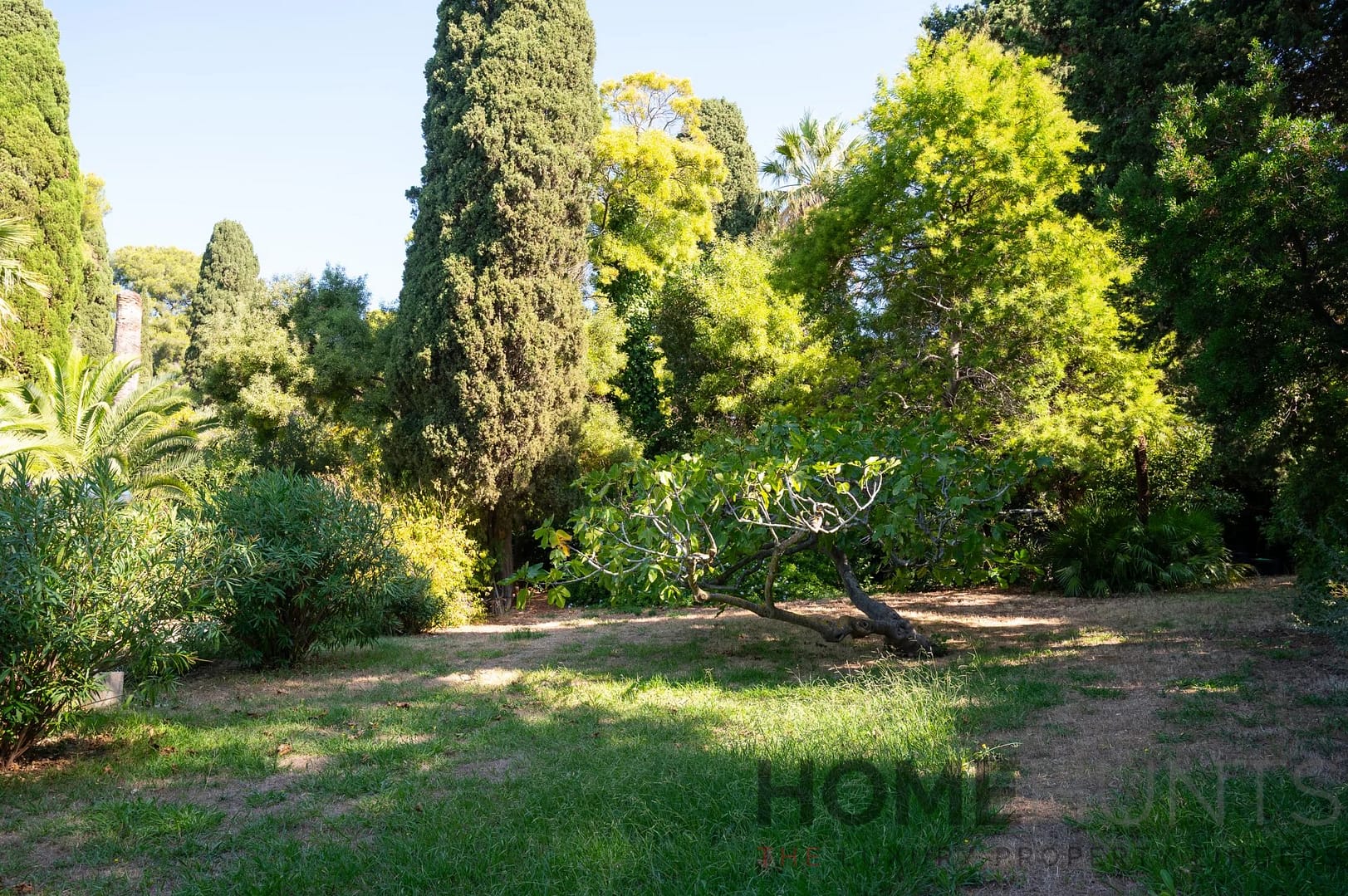 property_HH-15939554-6