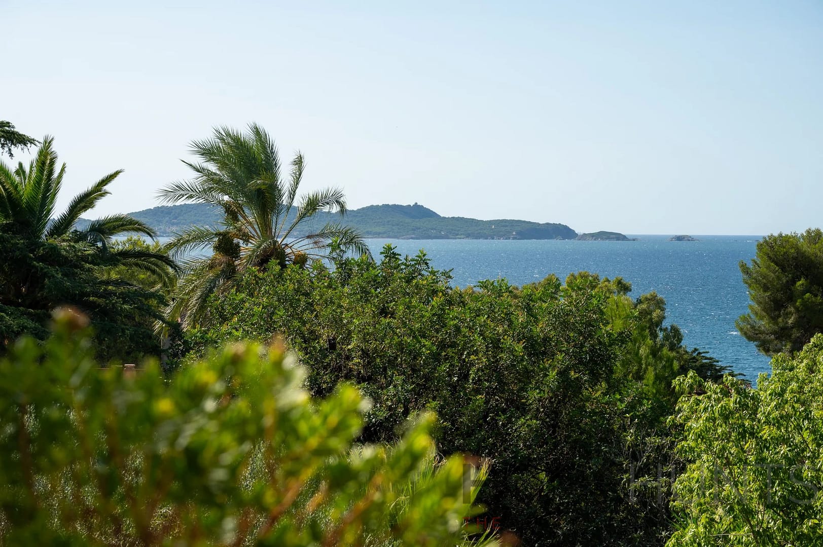 property_HH-15939554