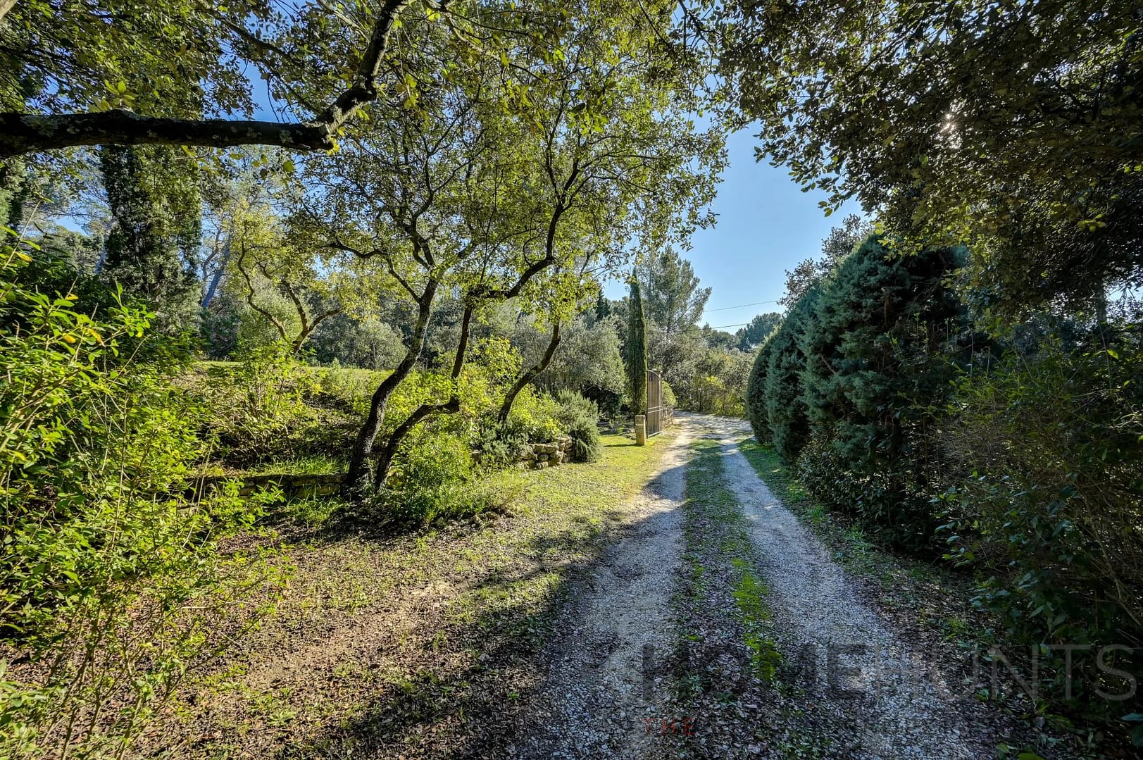 property_HH-16008554-9