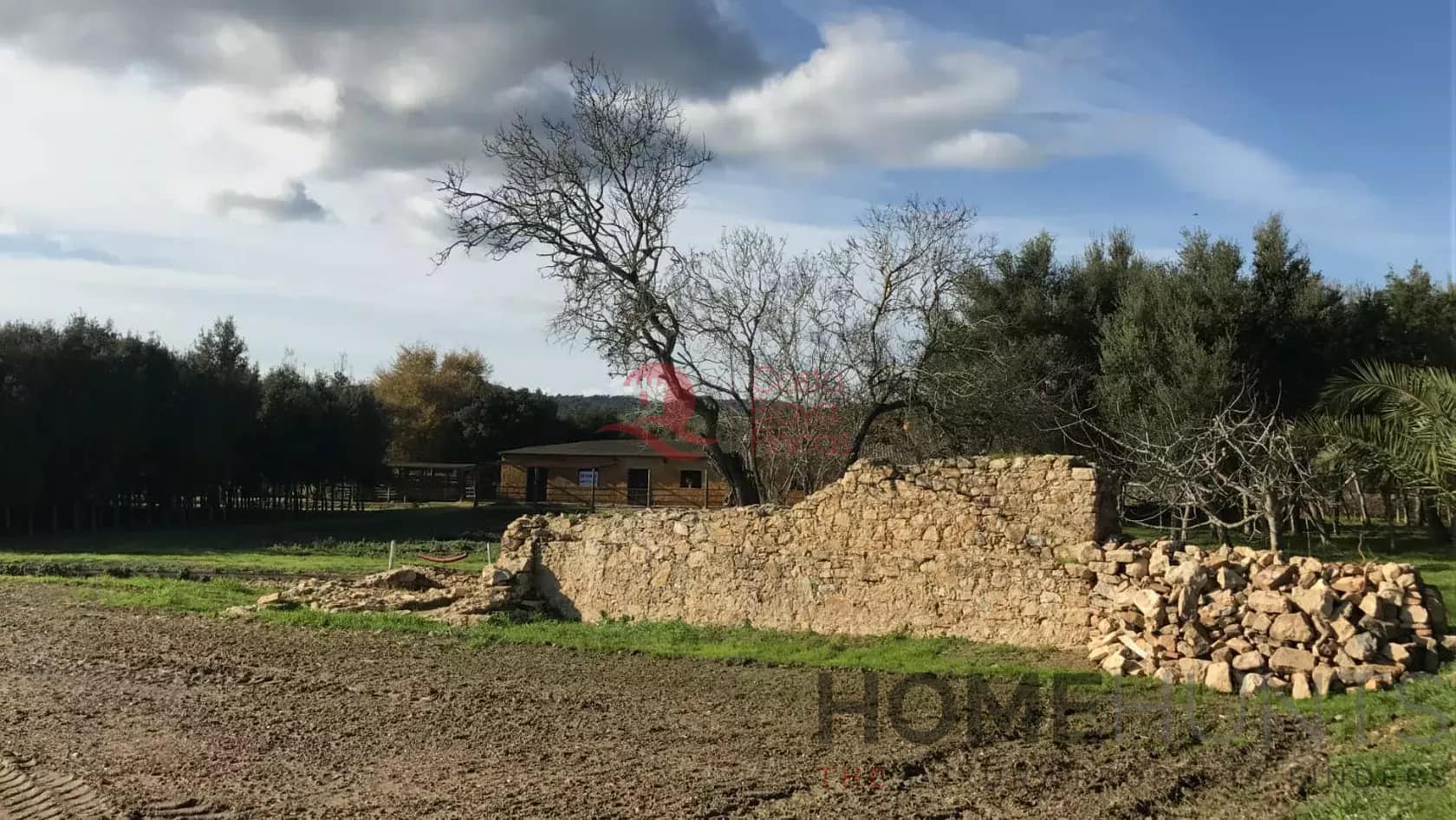 property_HH-15899802-16