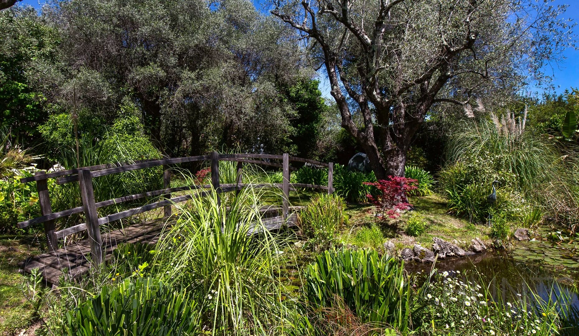 property_HH-15820231-17