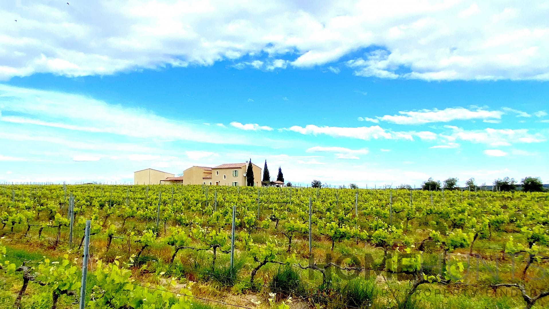 property_HH-15451370-2