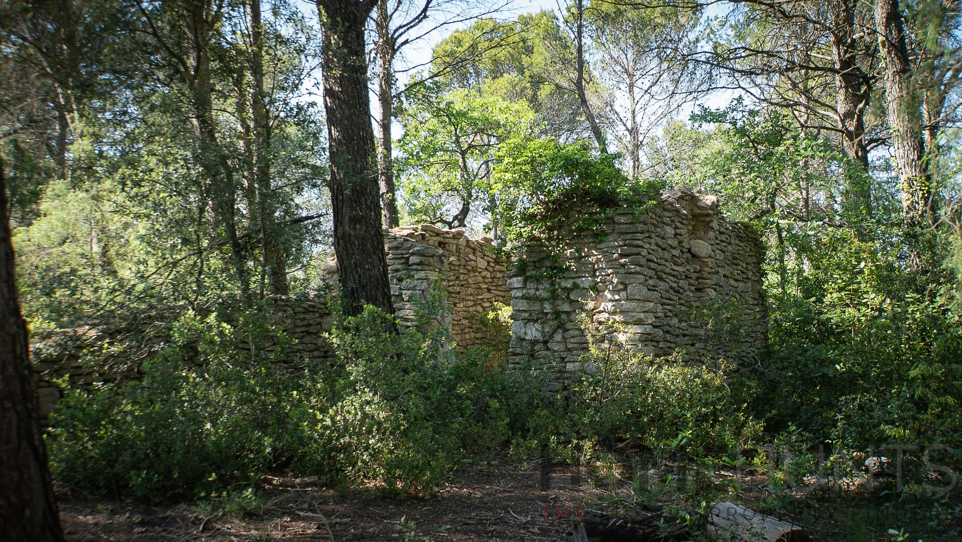 property_HH-15950625-10