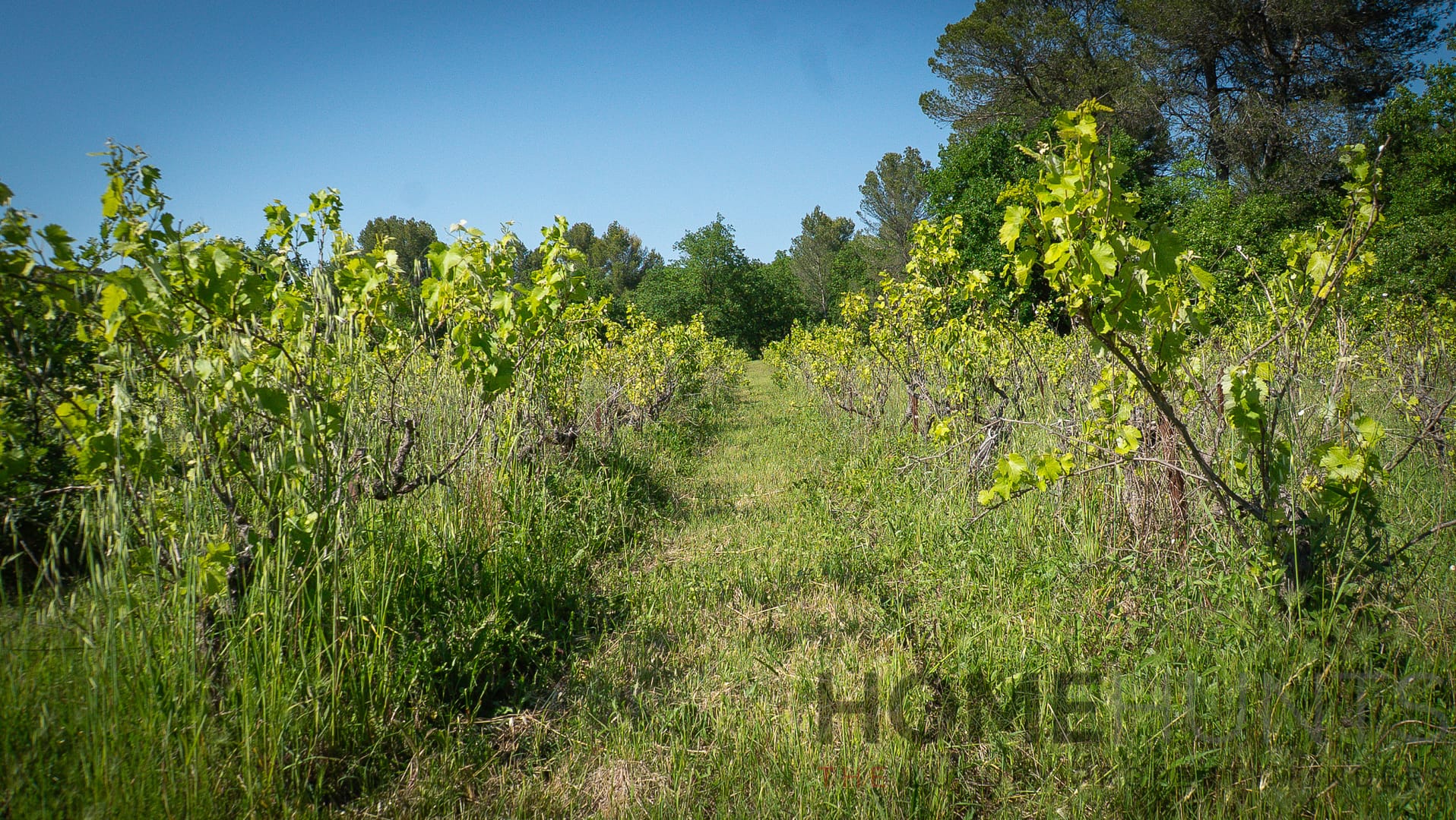 property_HH-15950625-13