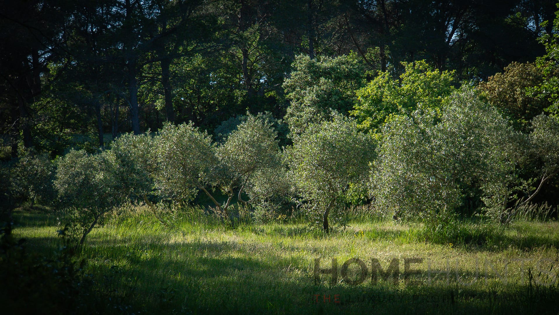 property_HH-15950625-15