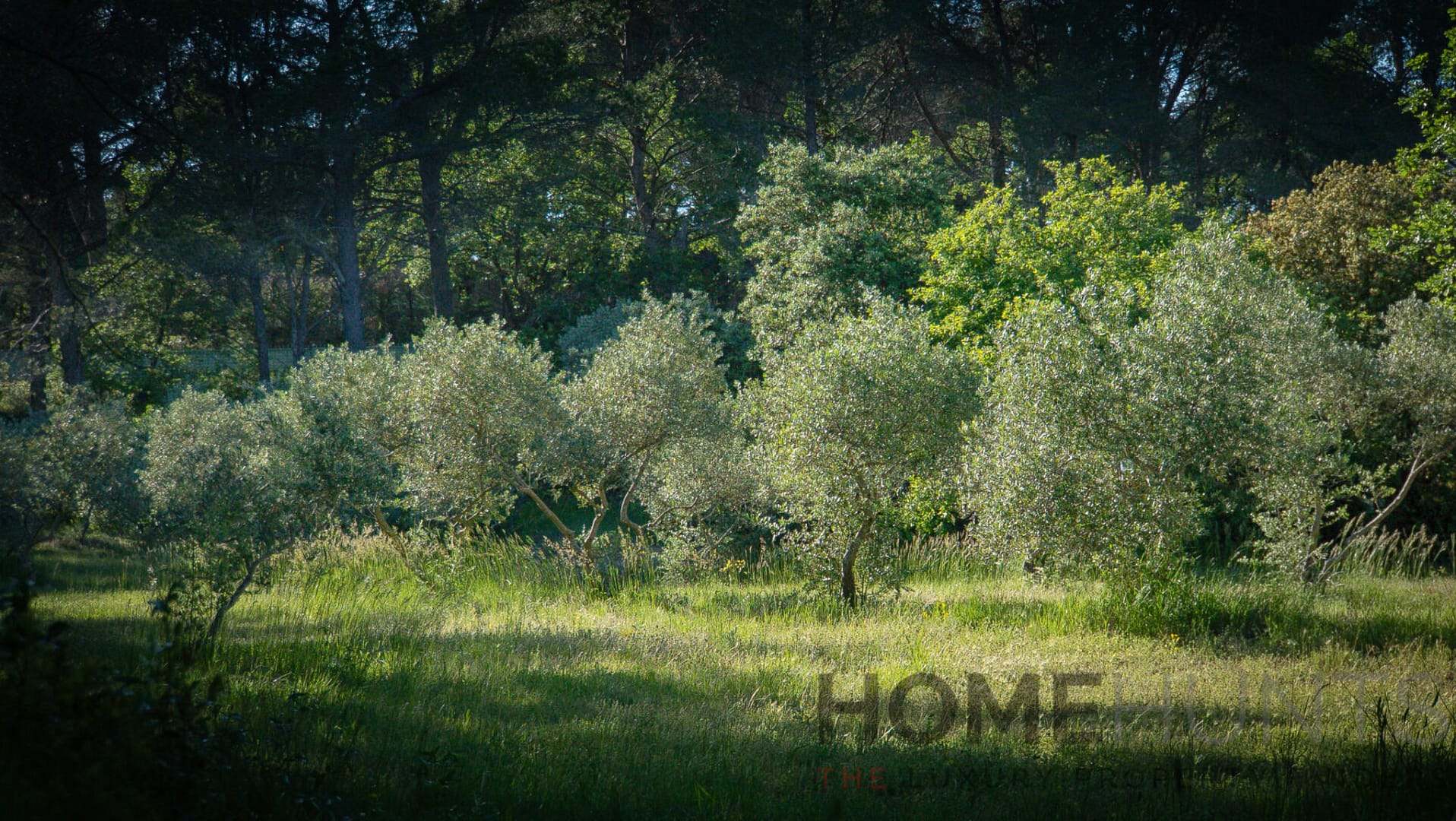 property_HH-16178556-7
