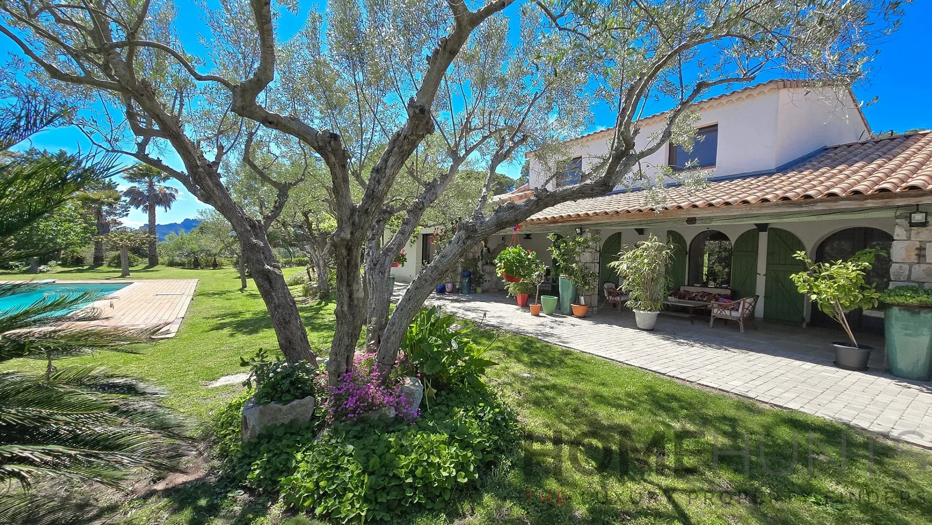 property_HH-15388000-5