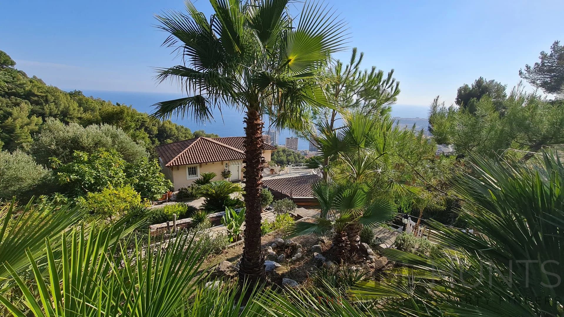 property_HH-15841851-19