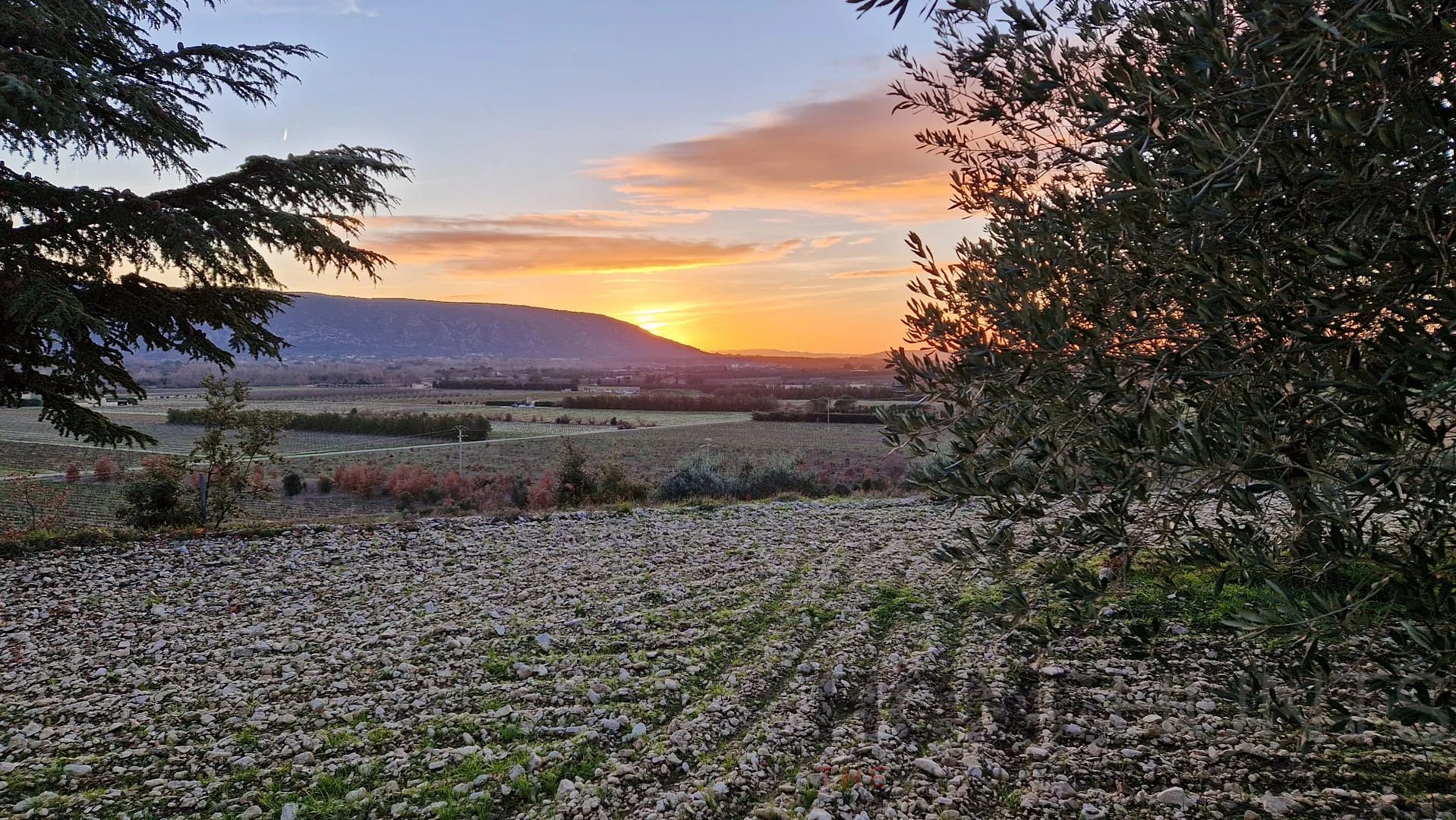 property_HH-14874096-4