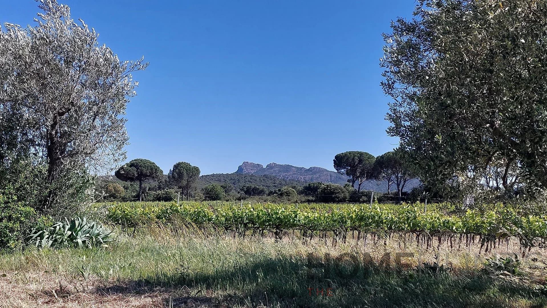 property_HH-16177715-2