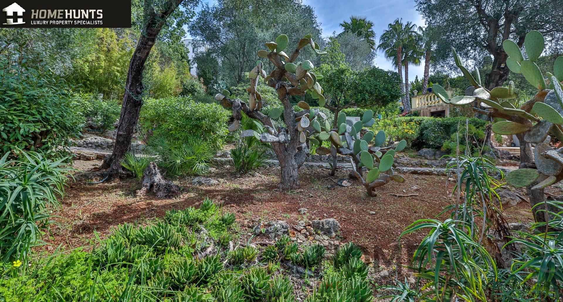 property_HH-14618691-17