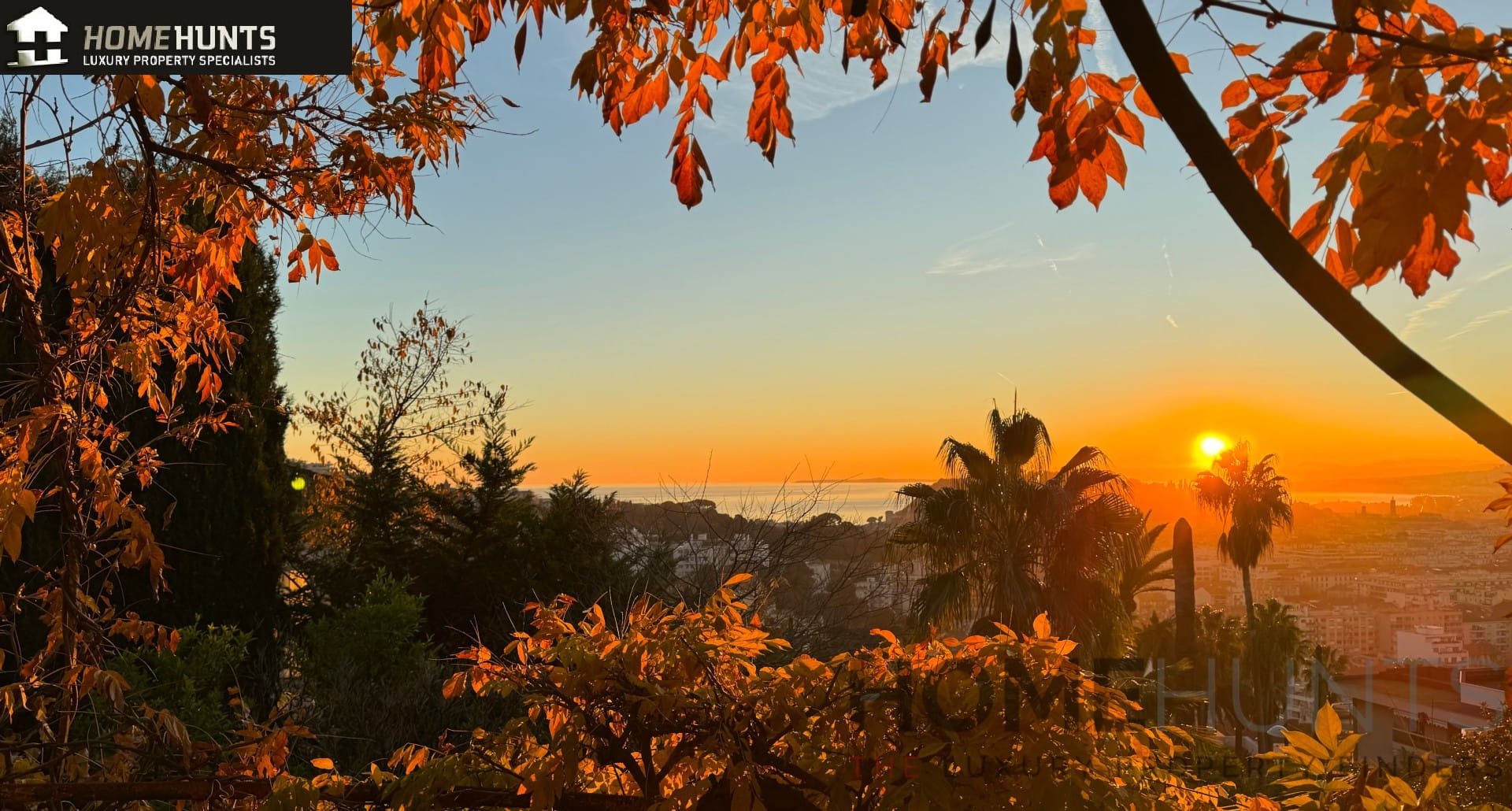 property_HH-16049478-2