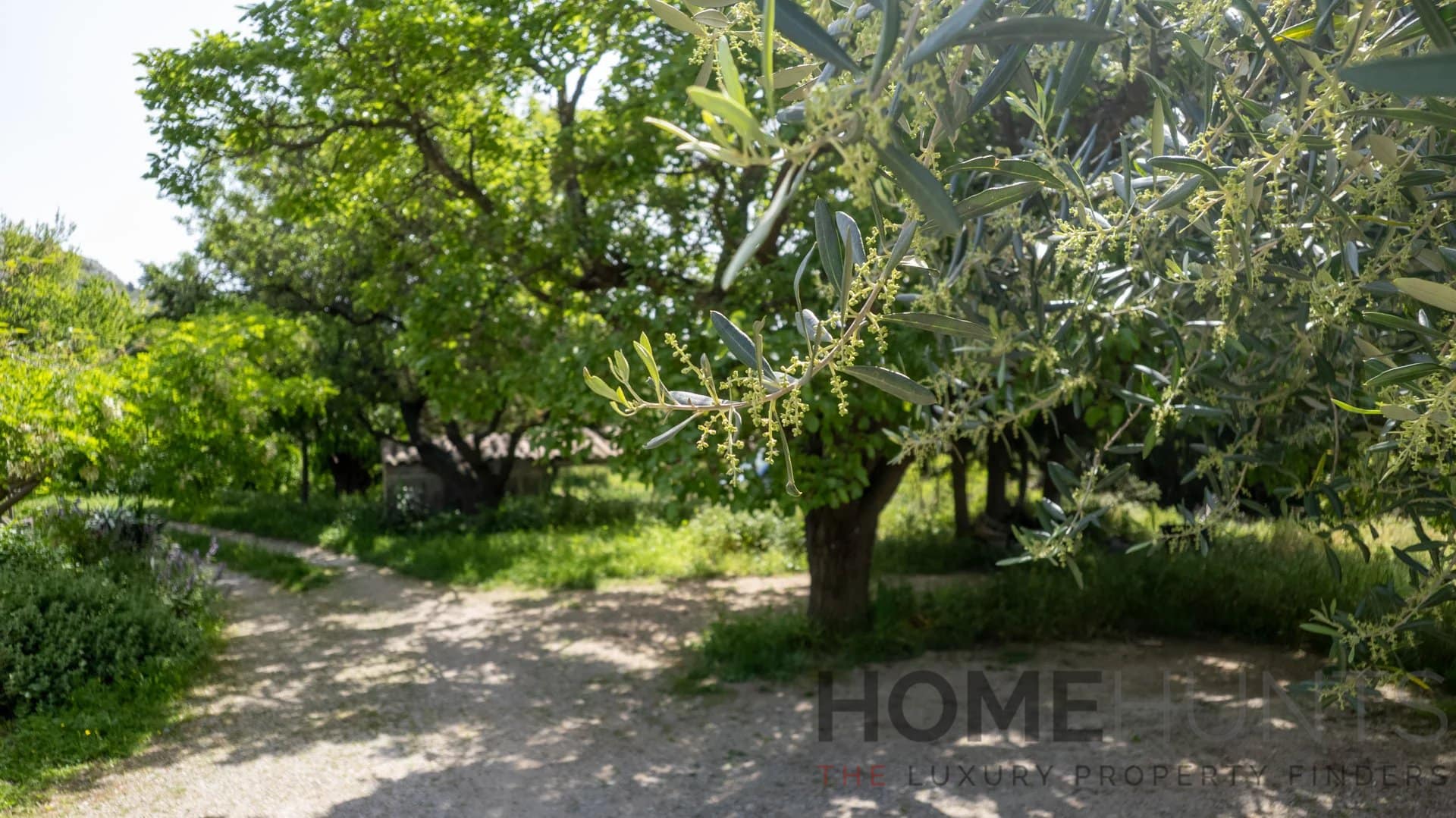 property_HH-15935024-12