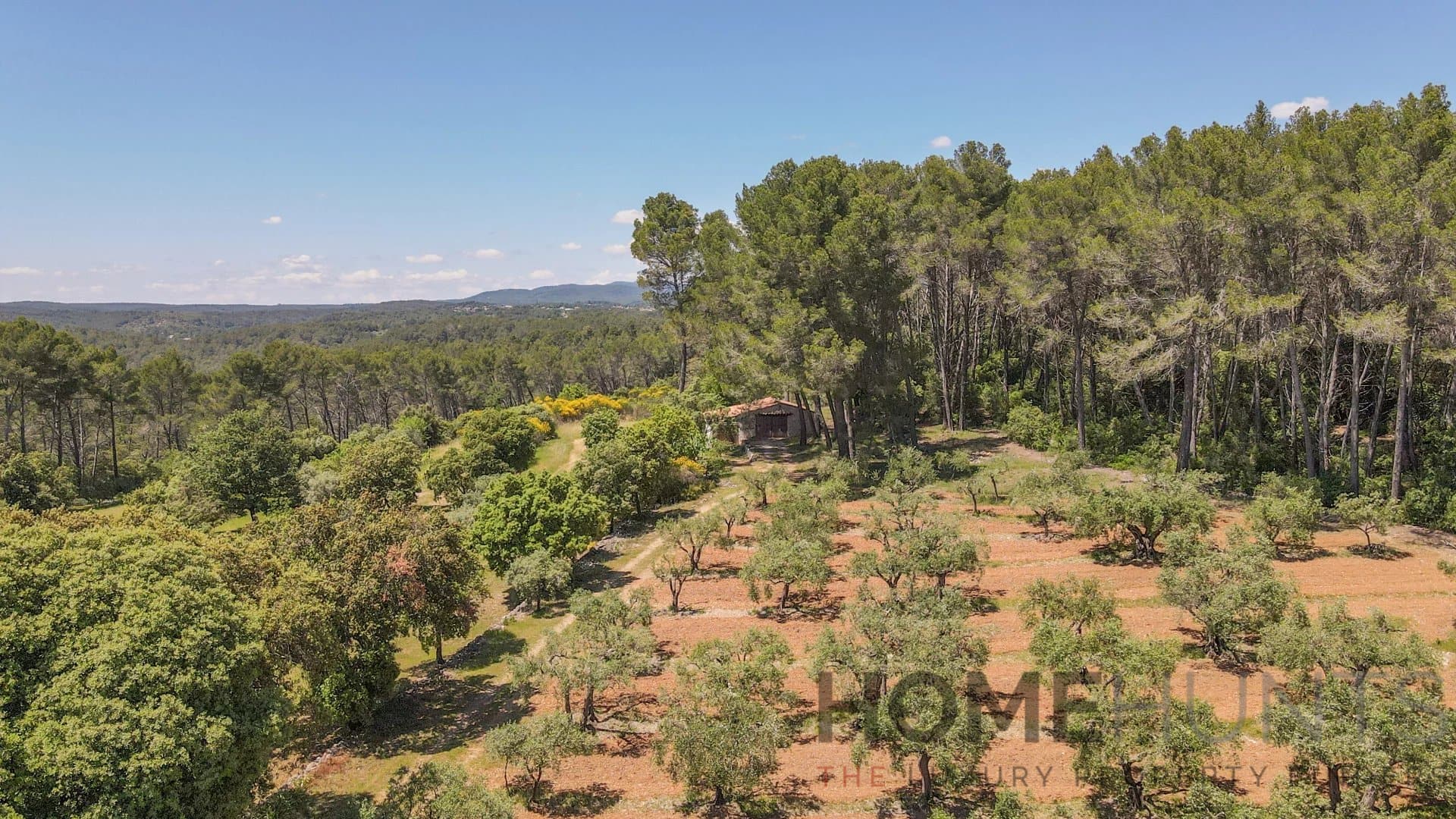 property_HH-15407524-19