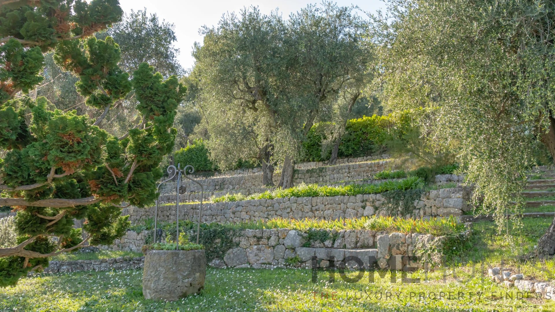 property_HH-15587375-12