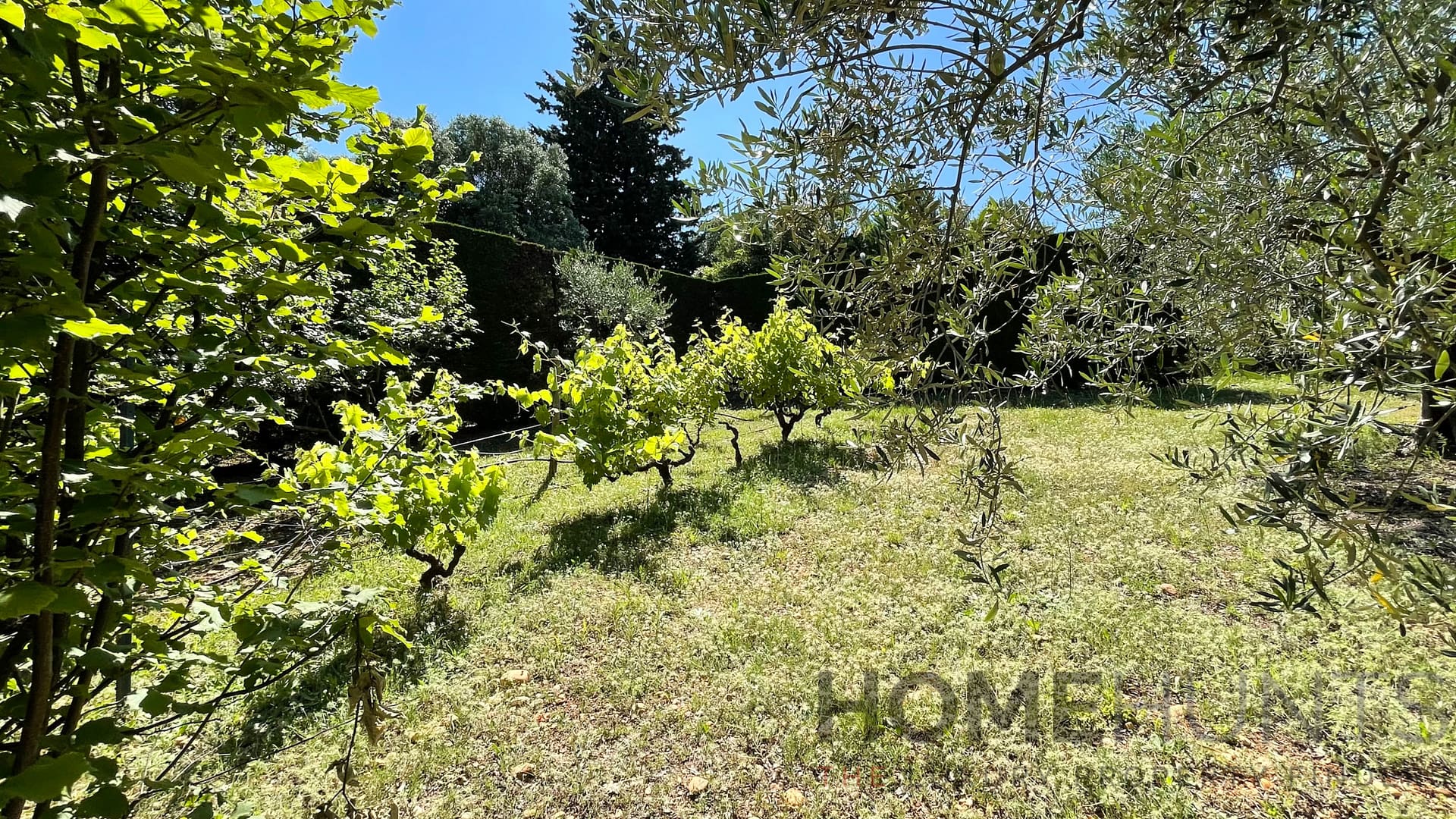 property_HH-15415920-29