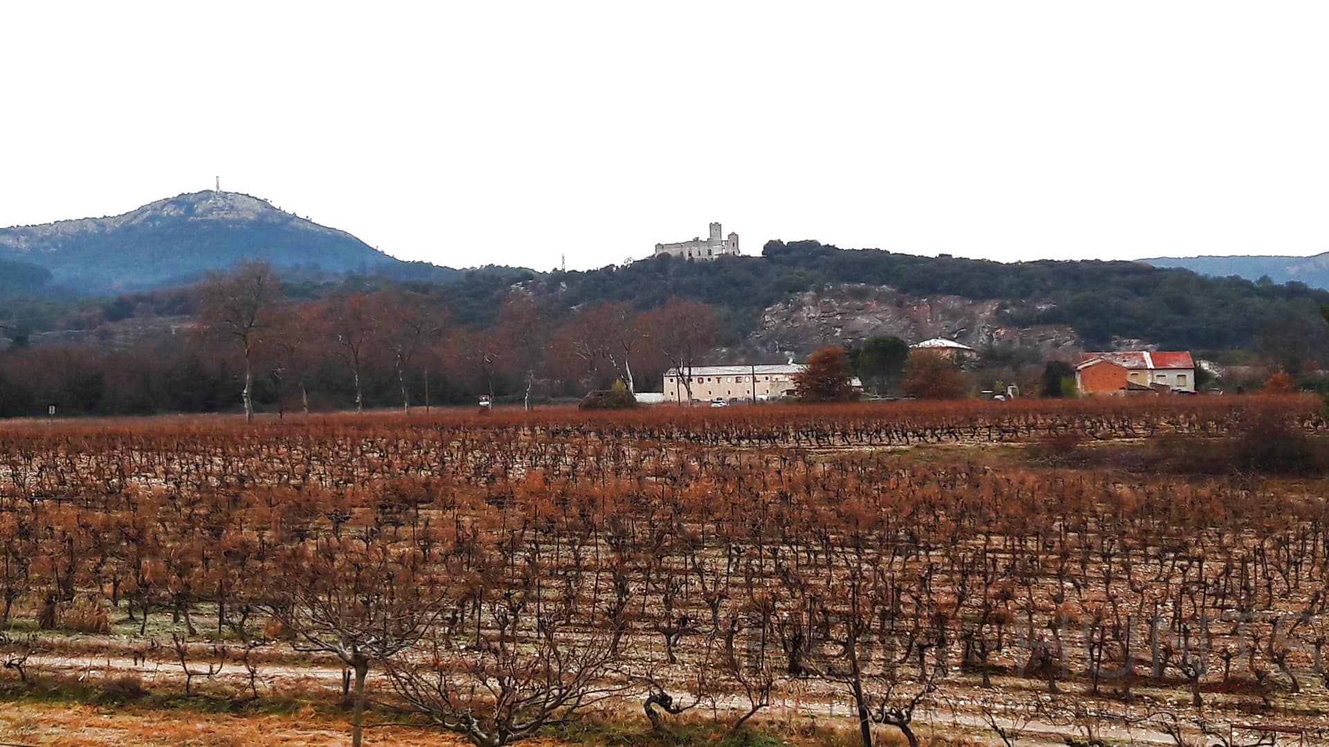 property_HH-15339969-2