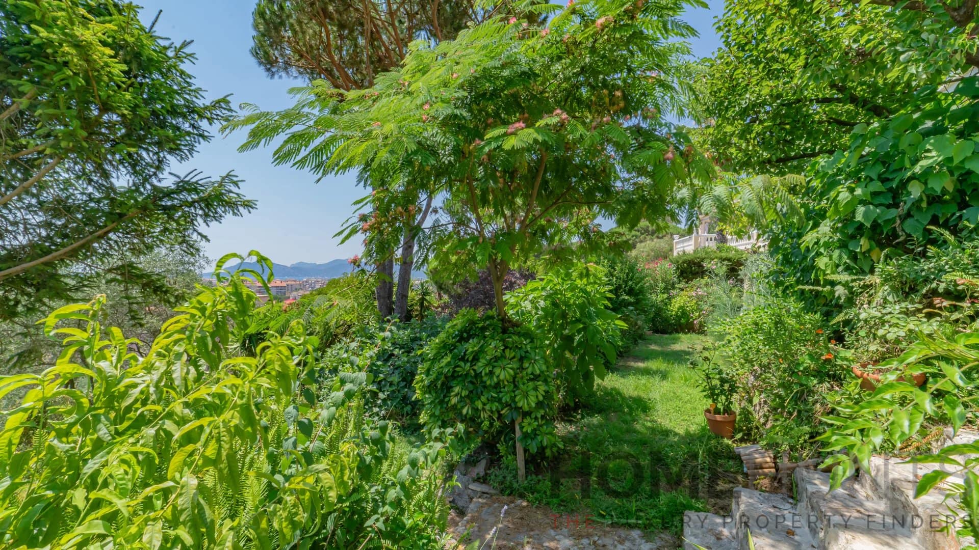 property_HH-15863911-15