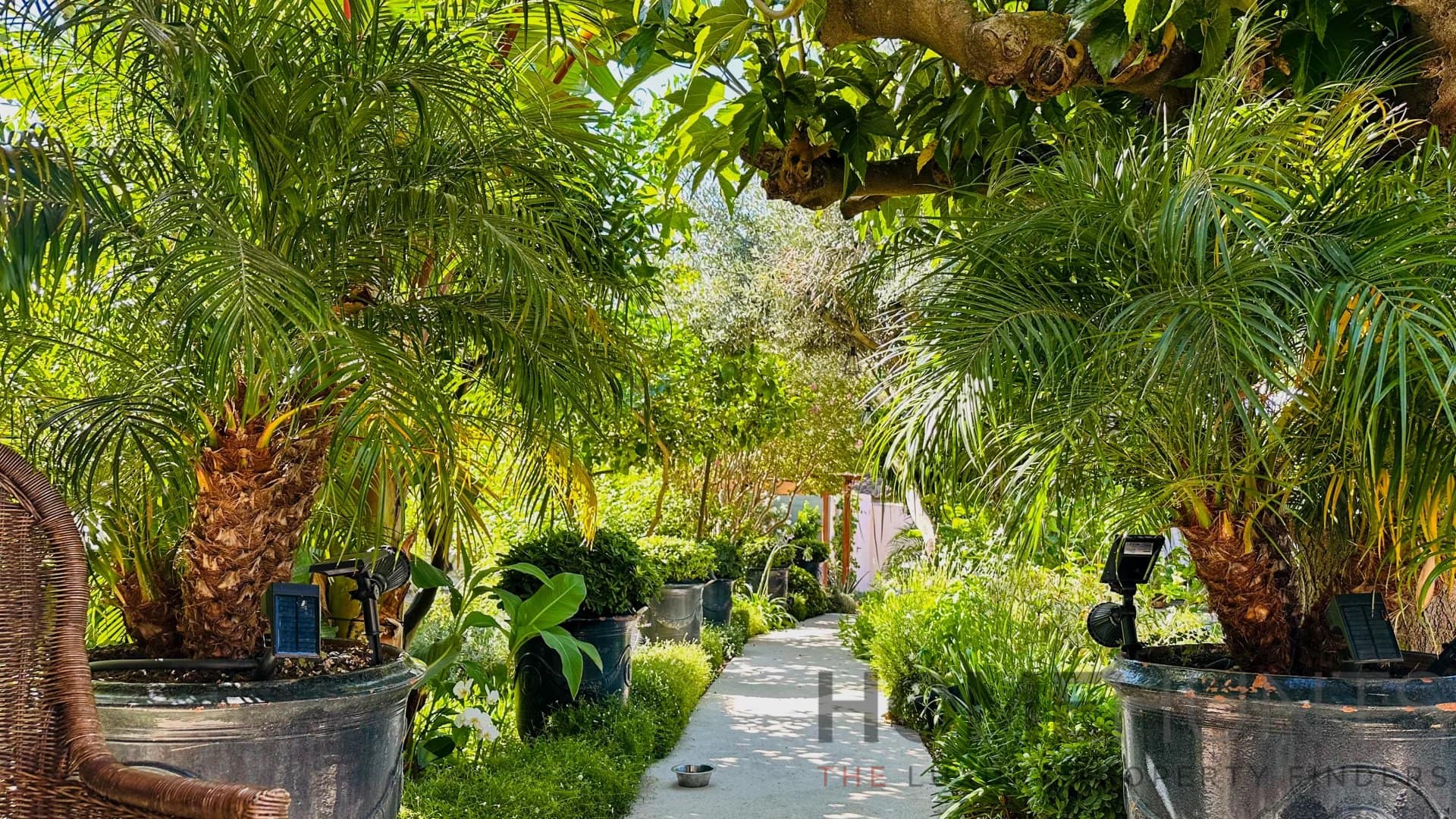 property_HH-15880811-3