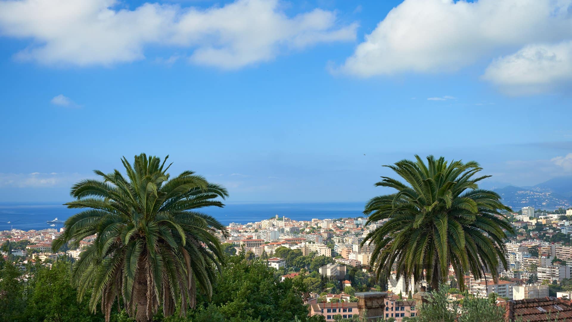 property_HH-14143701-4