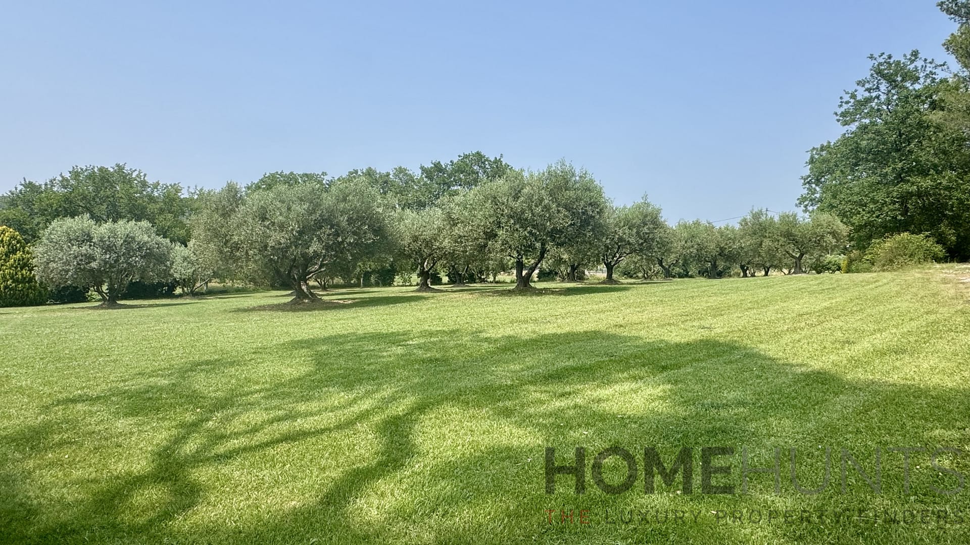 property_HH-15964998-11