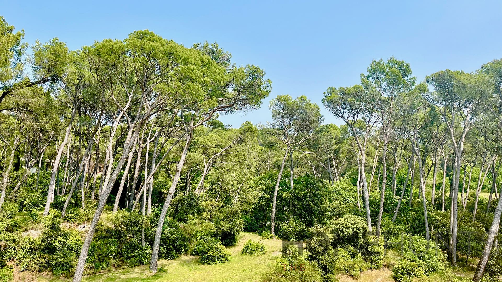 property_HH-15964998-9